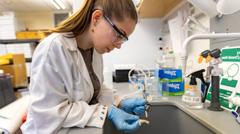 Student in labcoat examining coral under sink.